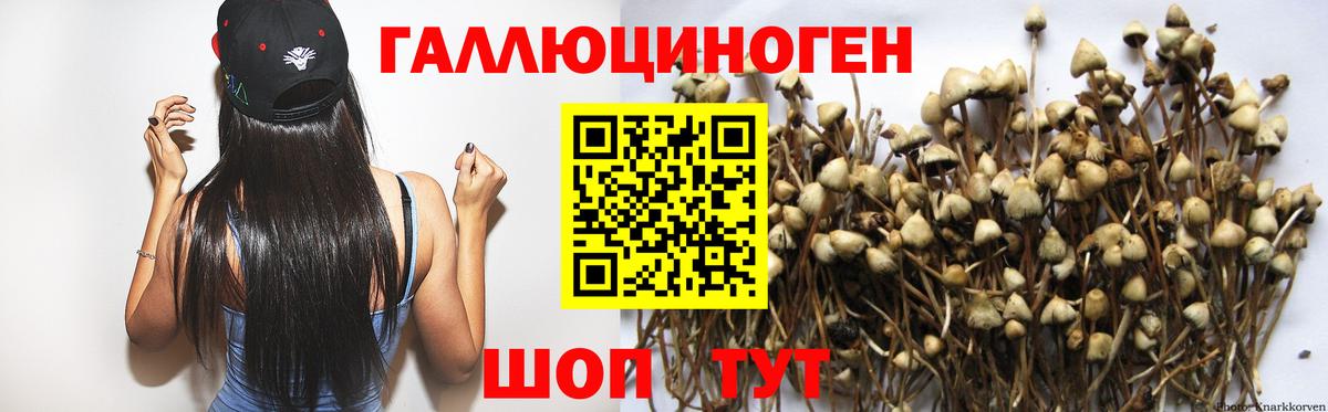 Псилоцибиновые грибы Psilocybine cubensis Алапаевск