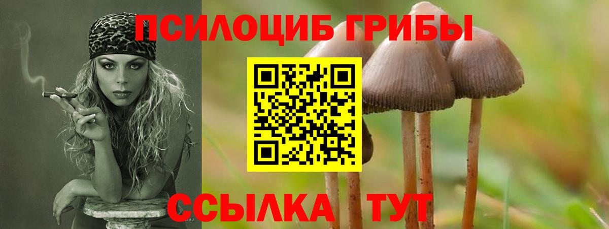 Галлюциногенные грибы MAGIC MUSHROOMS  Галлюциногенные грибы GOLDEN TEACHER  Алапаевск  наркота  Вход с VPN 